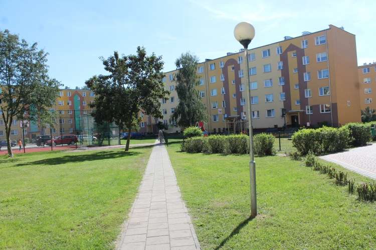 Czy miasto powinno doświetlić teren przy alei Piasta? Weź udział w sondzie