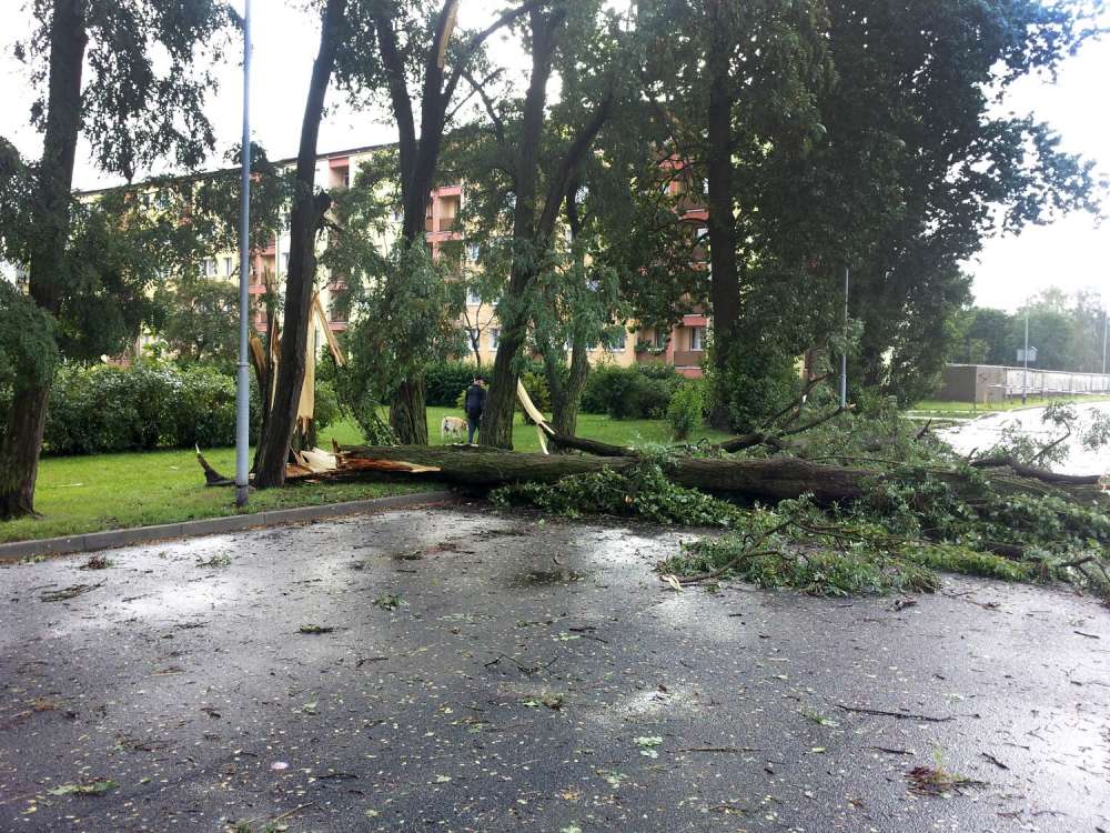 W całym powiecie trwa usuwanie skutków nawałnicy. Połamane drzewa, podtopienia, uszkodzone auta
