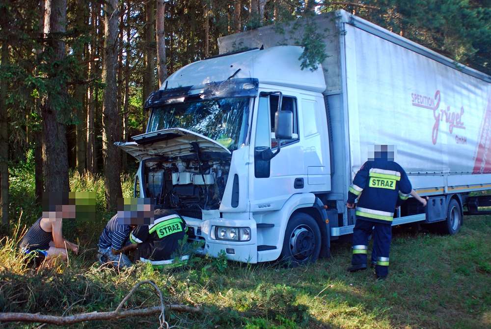 Kierowca ciężarówki stracił panowanie nad pojazdem i uderzył w drzewo