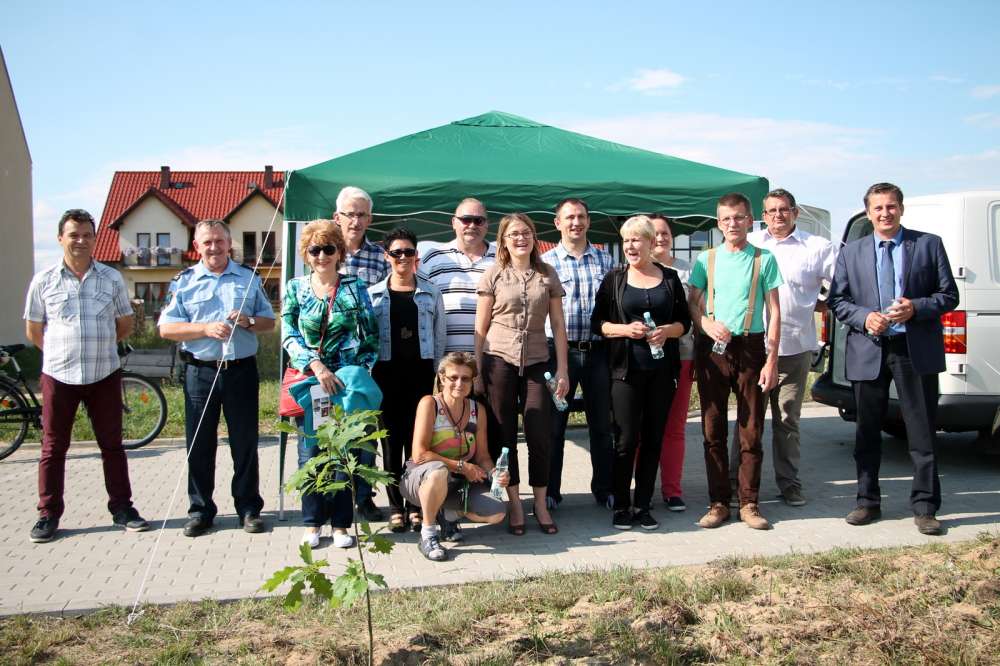 Na ulicy Kocika posadzono 170 brzóz, dębów i klonów na EEF