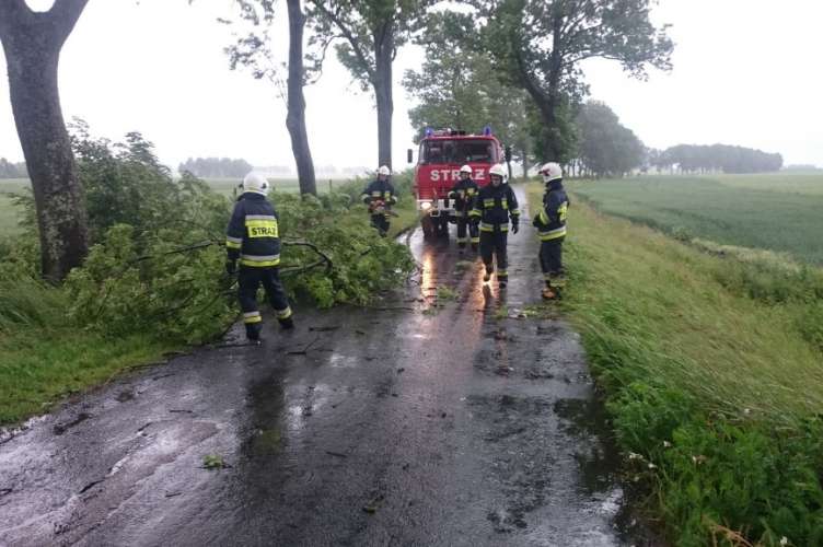 Strażacy usuwali skutki silnych wiatrów