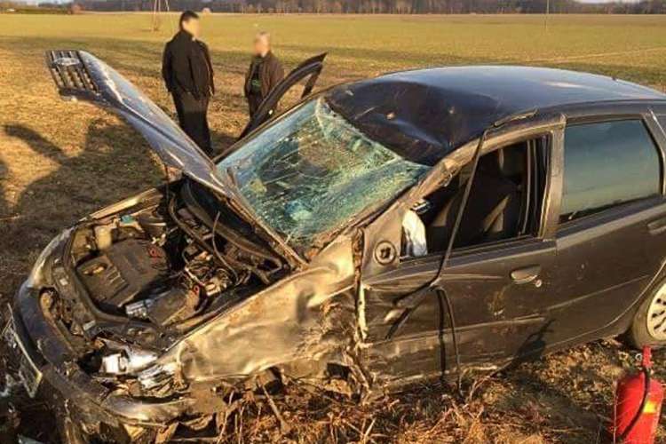 Najpierw drzewo, później dachowanie