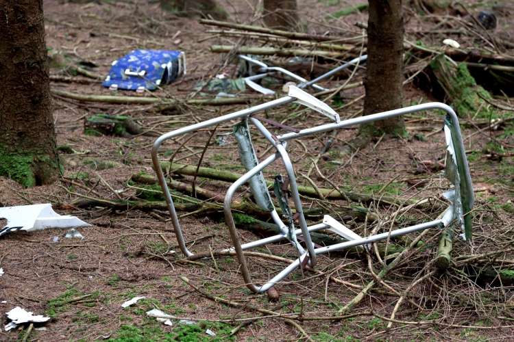 Głupota, niewiedza, a może zbyt rzadki wywóz? Dlaczego śmieci wciąż lądują w lasach?
