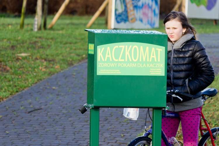 Kacze delicje, czyli po co kaczkom kaczkomat?