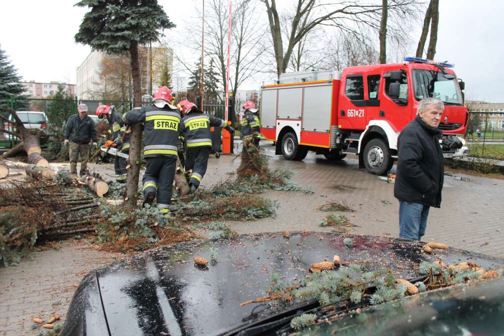 Przewrócone drzewo na komendzie