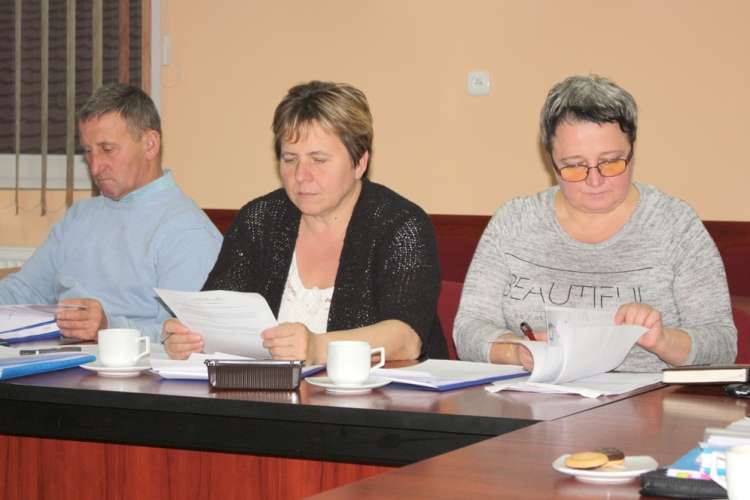 Kasztan jak każdy inny. Czy będzie nowy pomnik przyrody?