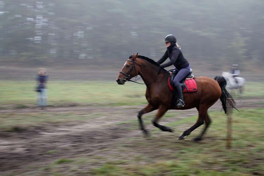 Hubertus w Stawnicy