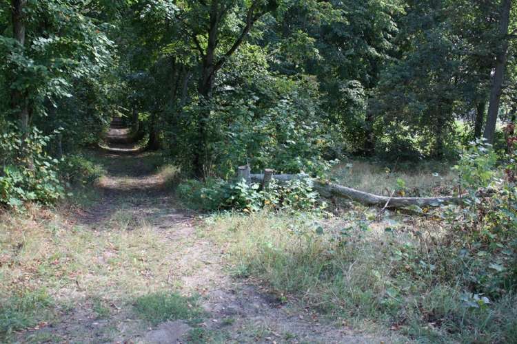 Chciwość przed zdrowym rozsądkiem