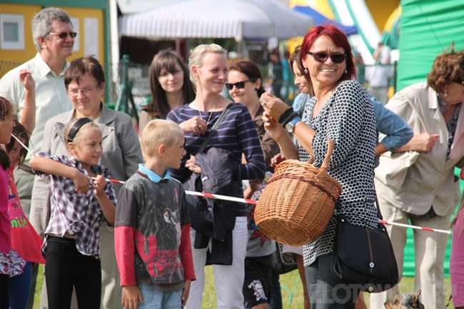 Święto Wsi Krajeńskiej i Piknik Modelarski
