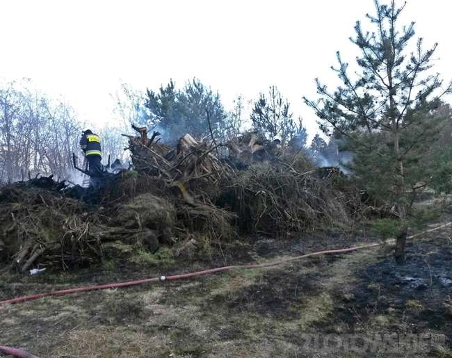 Kolejny pożar traw