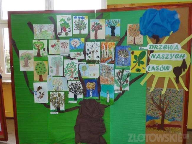 Drzewa Naszych Lasów w 