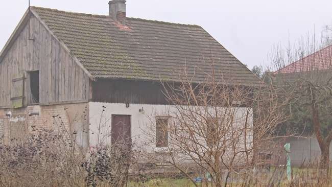 Gdzie ma być dzieciom lepiej?