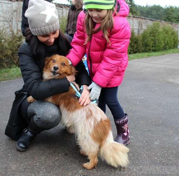 Pobiegli na sześciu łapach