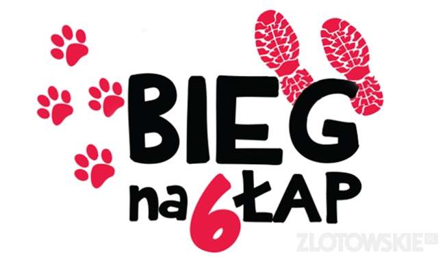 Na sześciu łapach biegiem po marzenia