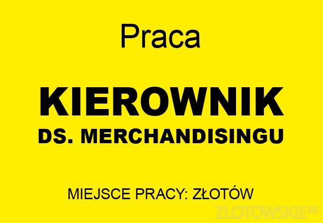 Praca - poszukiwany kierownik ds. merchandisingu