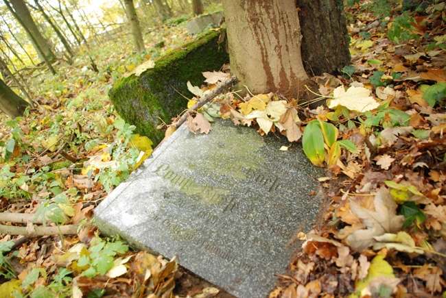 Pamiętając  o zapomnianych
