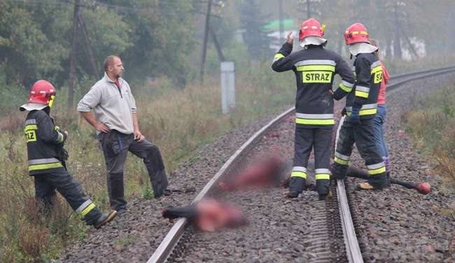 Pociąg przejechał konia