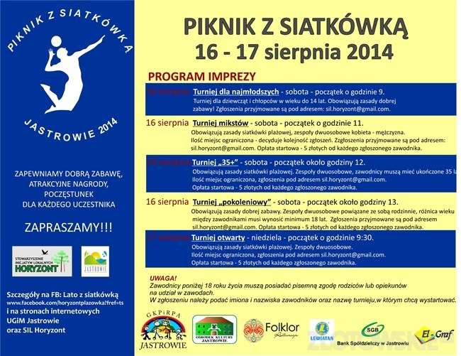 Piknik z siatkówką