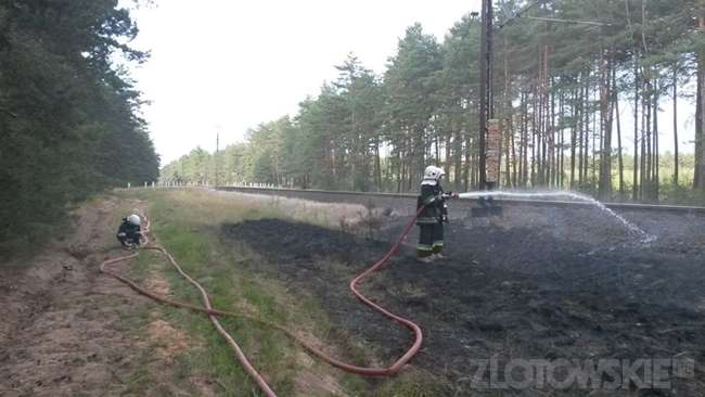 Zapaliła się trawa wzdłuż torów. Pożar gaszono również z powietrza