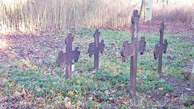 Naruszyli szczątki zmarłego