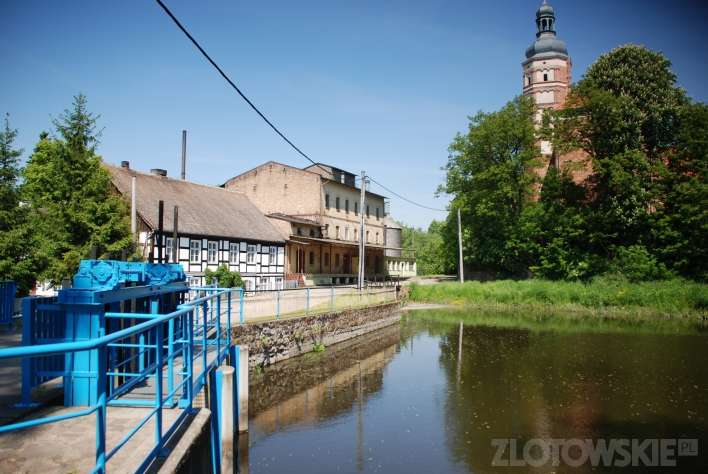 Młynarze wyginą?