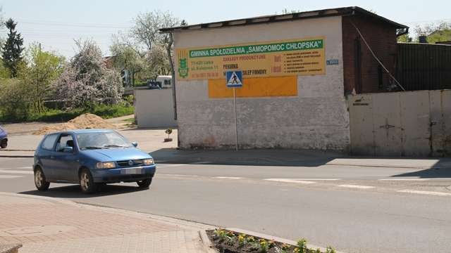 GS wiecznie żywy