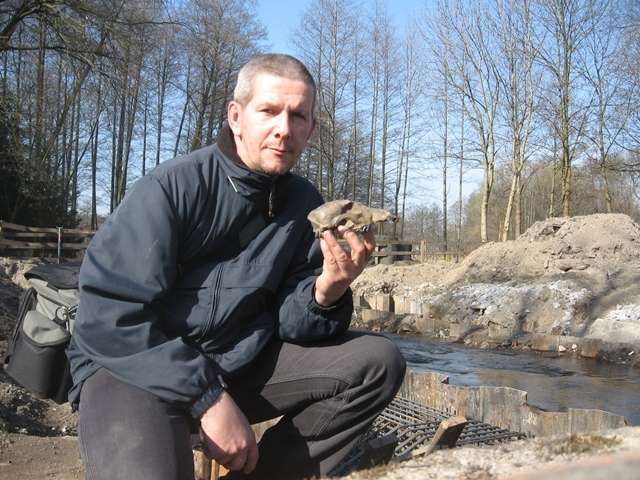 Budowa skarbu warta
