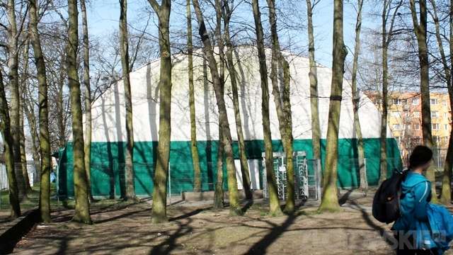 Przenieść lodowisko, wyciąć drzewa
