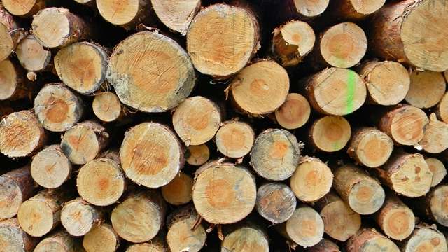 Oddadzą 8 milionów