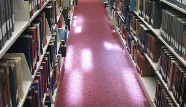 Bakcyl i biblioteka zapraszają