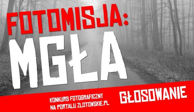 Głosowanie w konkursie Fotomisja MGŁA