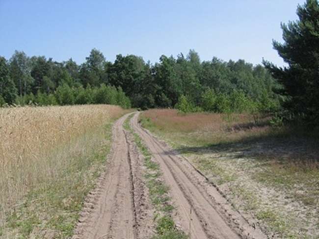 Prawie 4 km kłopotów