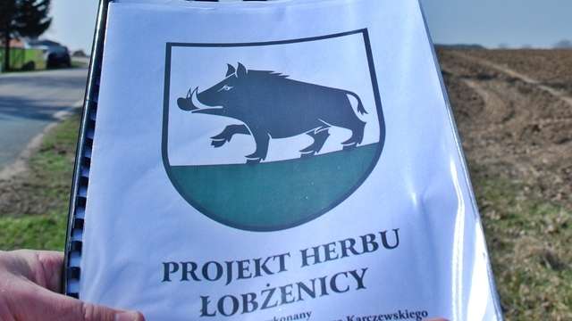 Dzik tak, pomnik nie