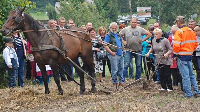 O tytuł najlepszego sołtysa