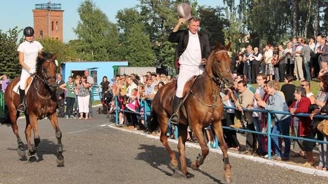 Koń w locie