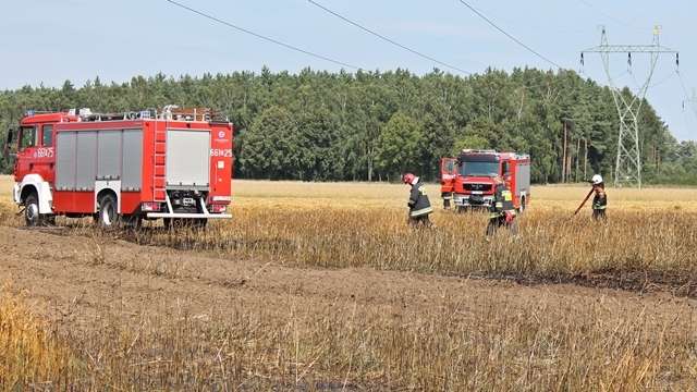 Paliło się pod Pieczynem