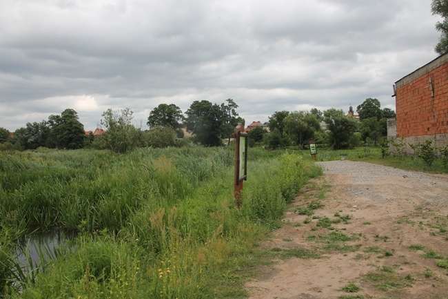 Baba do ponownego zarośnięcia
