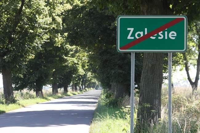 Fałszywki w Zalesiu