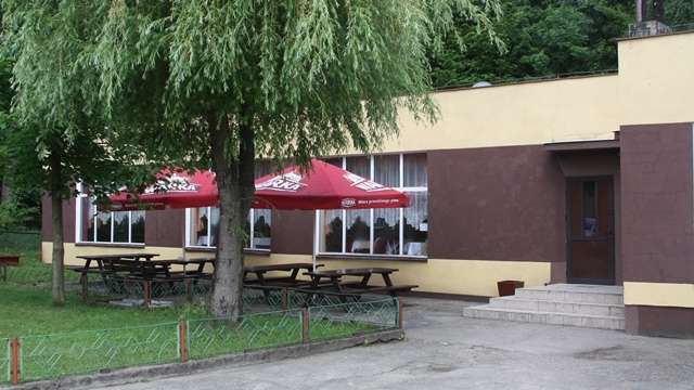 Sosna (nie) na sprzedaż