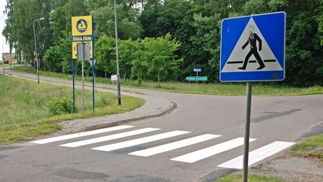 Zebry wylądowały