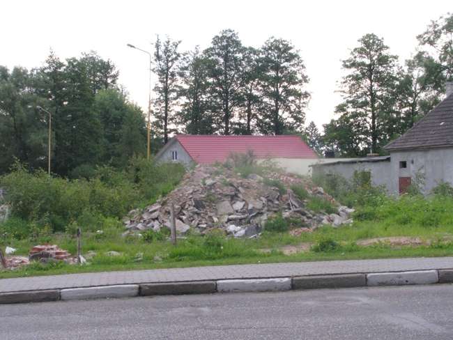 Biedronka na gwiazdkę