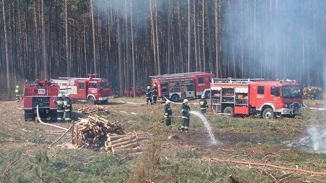 Pożar przy działkach ogrodowych