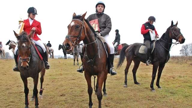 Konie w galopie 