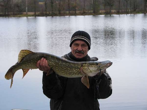 Pozazdrościć