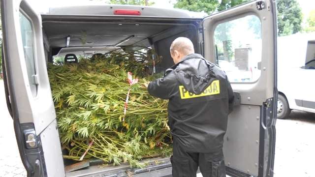 110 kg marihuany