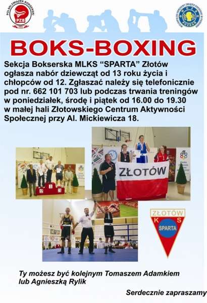 Potrzebni bokserzy