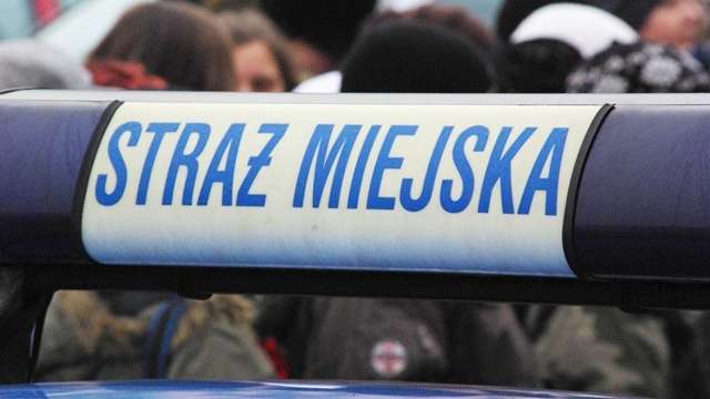 Stój, nie strzelaj