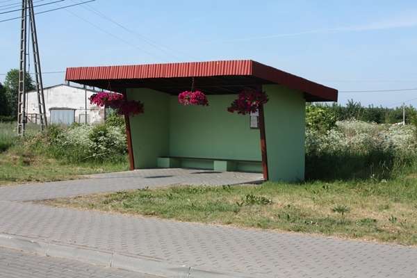 Nocni amatorzy kwiatów