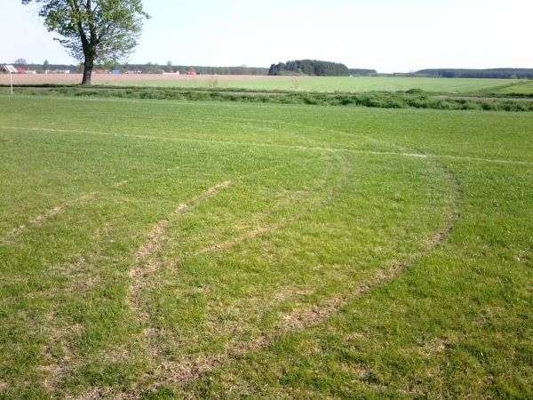 Za głupotę trzeba płacić