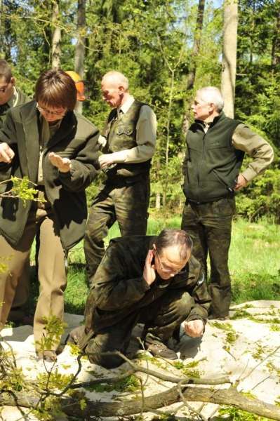 Zaatakują gąsienice z powietrza